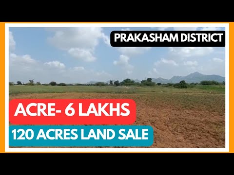 120 Acres land sale || Prakasham district || Acre -6 lakhs only