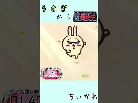 ハンターうさぎから逃走中 #shorts