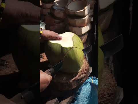 Great coconut cutting skills (beginners) Asmr #satisfying #streetfood #youtubeshorts @GatchieJr33