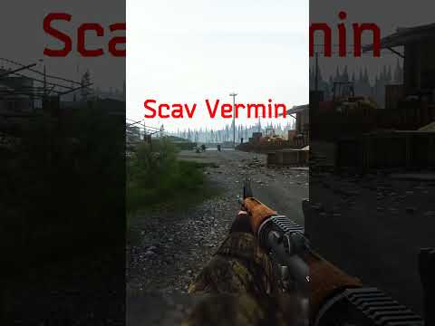 How do I still have high scav karma?