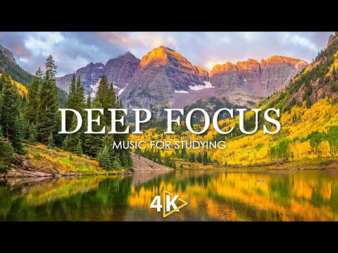 Work Music for Concentration - 12 Hours of Ambient Study Music to Concentrate #33