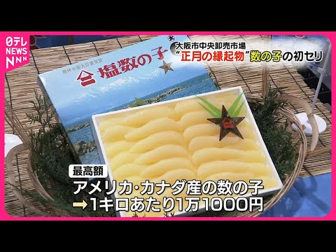 【“おせち料理に欠かせない”】数の子の初セリ行われる  大阪市中央卸売市場