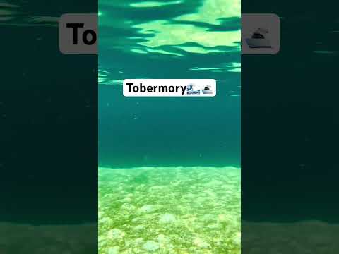 Beautiful Tobermory Clear waters #shorts #tobermory #canada #travel