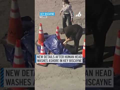 New details after human head washes ashore in Florida