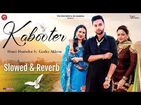 Kabooter | Harvi Harinder | Gurlez Akhtar | Slowed & Reverb Songs | Punjabi Song 2024