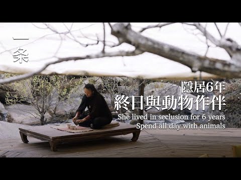 【EngSub】She lived in seclusion for 6 yearsSpend all day with animals 33歲女生在荒山獨居6年，徒手建房、打理