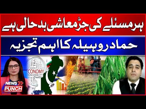 Bad Economy Is Root Of Every Problem | Economy Latest Update | Hammad Rohila Big Statement