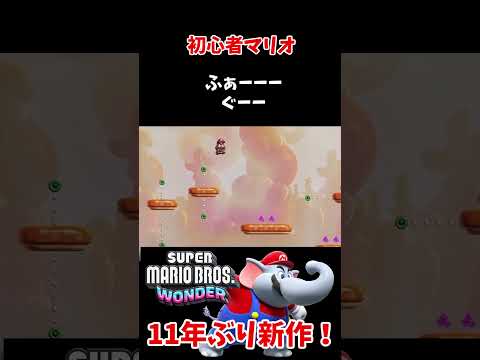 ふぁーーーぐーー【スーパーマリオブラザーズワンダー / SuperMarioBros.Wonder】