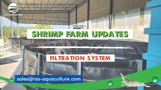 From Build to Harvest: An Update on Our Shrimp Farming Journey