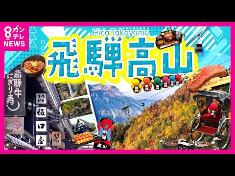 【飛騨高山】絶景スポットと絶品グルメ旅｜まるで江戸時代『古い街並』｜合掌造り集落を再現『飛騨の里』｜三度楽しめる『飛騨牛まぶし』｜旬感LIVEとれたてっ！「行ったつもりトリップ」〈カンテレNEWS〉