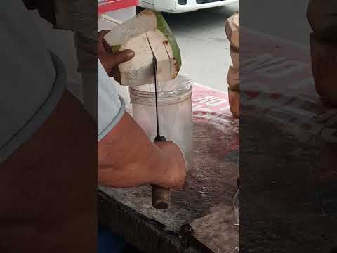 very satisfying fresh coconut water #satisfying #coconutwater #streetfood #youtubeshorts #Gatchie Jr