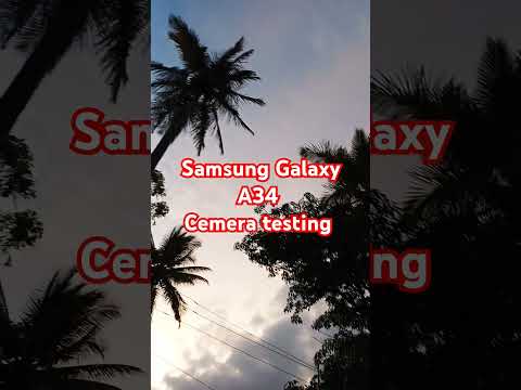 Samsung Galaxy A34 cemera testing 👌 #love #lovesong #song #music