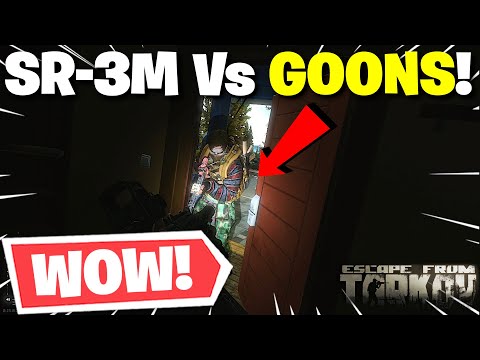 Escape From Tarkov PVE - Using The NEW SR-3M Vs The GOONS! (Lighthouse Raid)