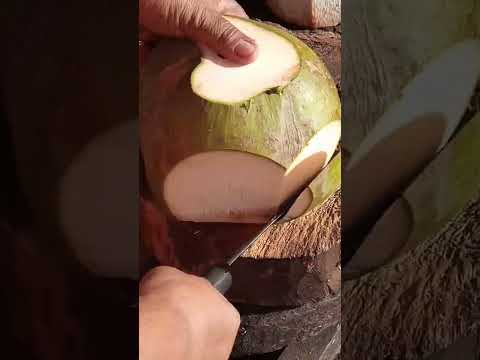 fantastic way to peel coconut Asmr #satisfying #coconut #streetfood #youtubeshorts #Gatchie Jr