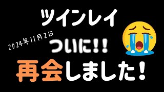 【実体験】ついにサイレント期間終了！ツインレイのお相手と再会しました😭