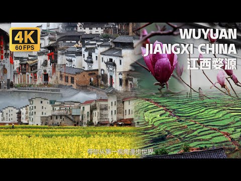 China- Rural Terraces Filled with Rapeseed Flowers Walking Tour | 沉浸式漫步在江西婺源 賞最美中國鄉村梯田油菜花 [4K 60FPS]