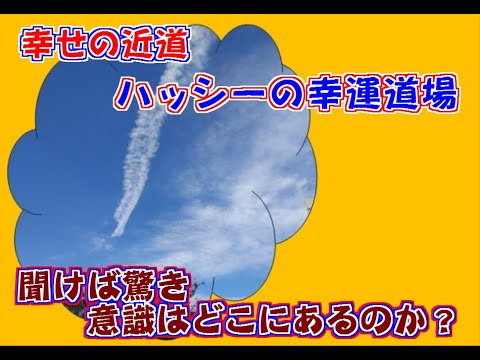 【えっ？！マジ？！聞けば驚き！意識はどこにあるのか？】