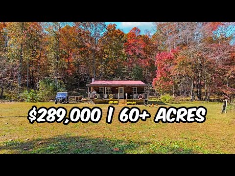 Off Grid Cabin For Sale | 60+ Acres | 637 McGoldrich Acres Rd, Holladay, TN 38341