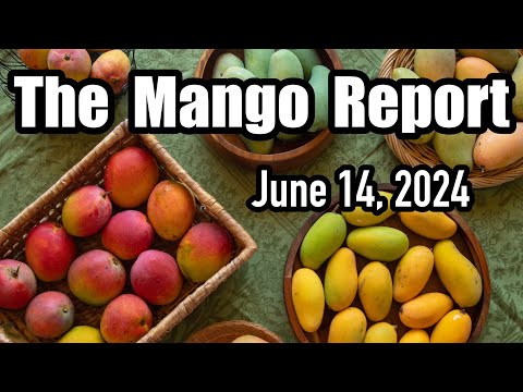 The Mango Report- June 14, 2024