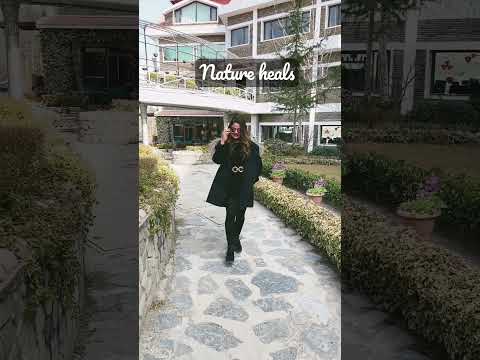 #letstravel #naldehra #naturelove #trending #shimla #trendingaudio #subscribetomychannel