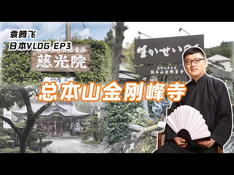 遊總本山金剛峰寺丨袁騰飛日本VLOG03