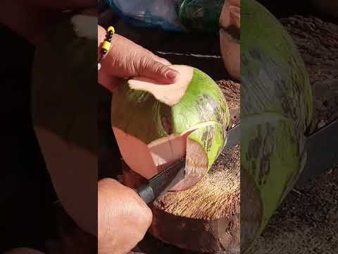 impressive coconut cutting ASMR #satisfying #streetfood #youtubeshorts #viralshort #Gatchie Jr