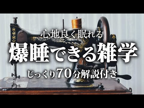 【睡眠用 雑学】爆睡できる雑学【リラックス】いつもとは全然違う雑学をまとめました♪