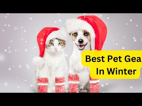 "Winter's Grand Finale: Best Pet Gear You Shouldn't Miss!"