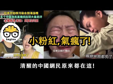 中国只有两个东西可以随便骂，你知道是什么吗？清醒的中国网友集中在哪里？