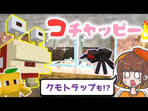 コチャッピーと超簡単で回路なしクモ経験値トラップを作ってみた！【マイクラ／Minecraft／ピクミンクラフト】