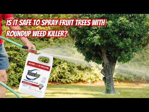 Is It Safe To Spray Fruit Trees With Roundup Weed Killer?