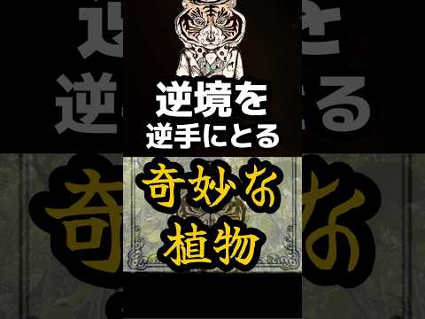 ◯◯に学ぶ！逆境を逆手に取る方法