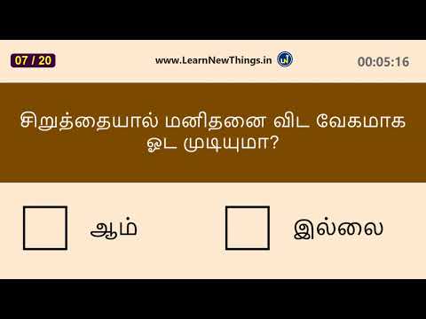 ஆம் அல்லது இல்லை | Yes or No | 20 Questions