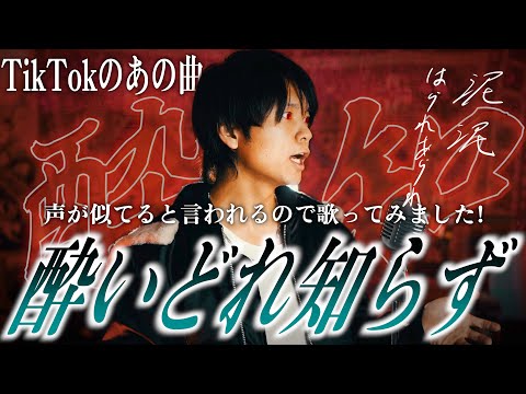 【酔いどれ知らず】メガテラさんに声質似てると言ってもらえるので歌ってみました【kanaria】