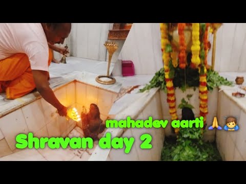 Shravan day 2 mahadev arti || day 2 vlog mahadev #mahadev #shravan #vlog #aarti