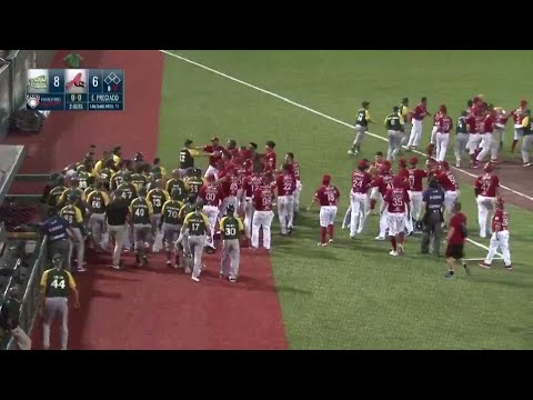 A Yasiel Puig hit by pitch starts a brawl in the Mexican League