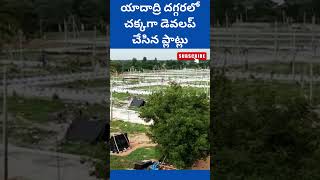 యాదాద్రి దగ్గరలో ఓపెన్ ప్లాట్లు || Open Plots near Yadagirigutta || 7799666988 #plotsforsale