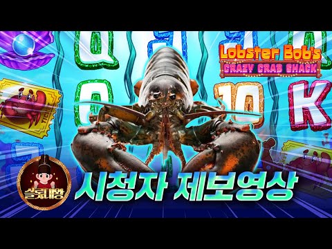 슬롯👨‍🎓슬롯머신👑🦀랍스터 548만원 당첨🔥시청자 제보 잭팟영상💯👑 슬롯대왕 👑 LOBSTER BOBS:랍스터 밥 슬롯대왕