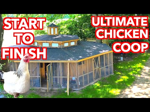 Building a 7 Coop Octagonal Chicken House - Start to Finish