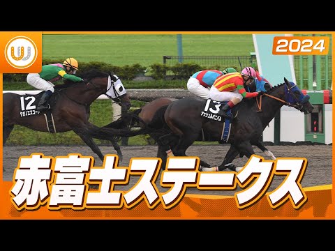 【レース映像】赤富士ステークス｜アッシュルバニパル（C.ルメール）｜ウイニング競馬 2024