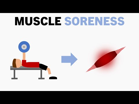 Is Soreness Beneficial for Muscle Growth?