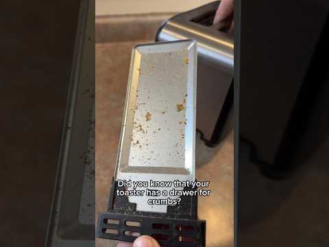 Did You Know Your Toaster Has Crumb Drawer? | Day 1 Spring Cleaning Spree 2024 #cleaning #home