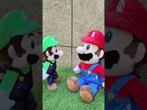 mario doesn't like luigi