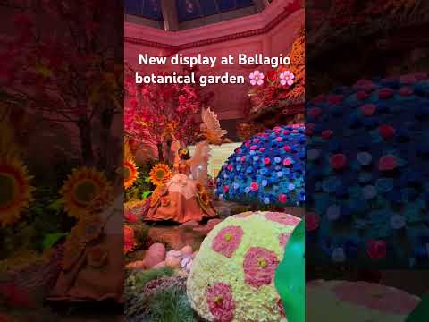 New display at Bellagio’s botanical garden Check out the full garden on my channel #bellagio🌹🌸🌹