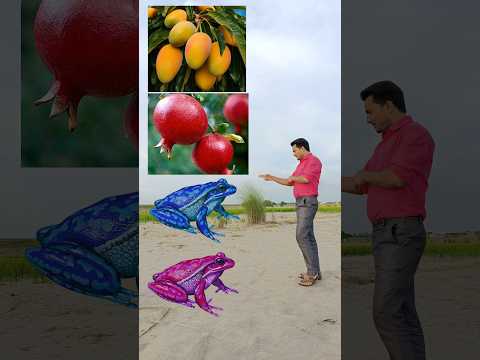 Mango, Pomegranate, orange, grapes from frog - funny vfx 😄🙂