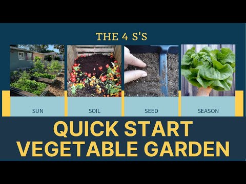 How To Start A Vegetable Garden | Central Florida Gardening 101 for Self Sufficiency