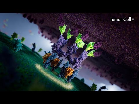 Immunotherapy ARC Platform| MOA Animation