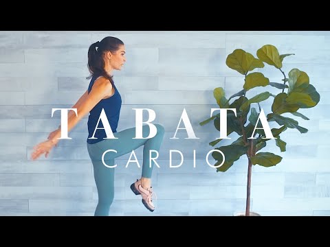 Tabata Workout for Beginners & Seniors // Cardio & Tone Pilates inspired Exercises