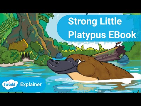 Twinkl Original Story: Strong Little Platypus eBook