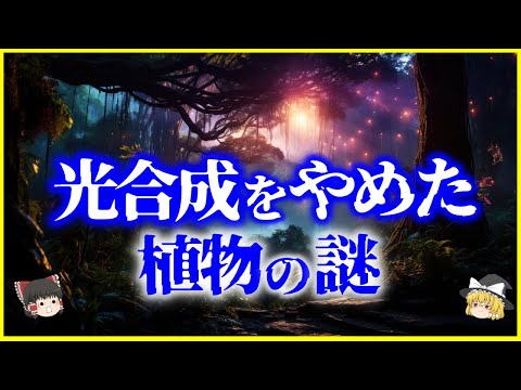 【ゆっくり解説】進化の結果、光合成をやめた植物とは…「寄生植物」と「菌従属栄養植物」を解説/そもそも光合成とは何か？